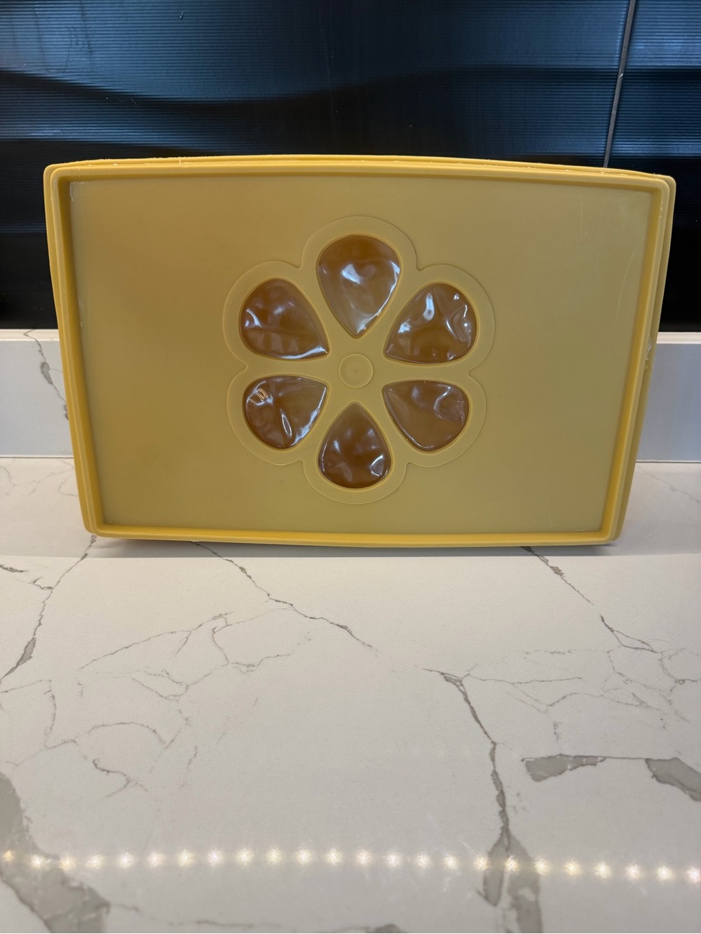Vintage Rubbermaid storage container